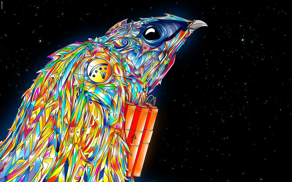 multicolored eagle photography HD wallpaper